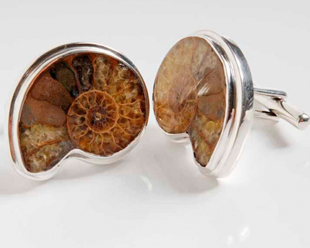 Photo of sectioned ammonite cufflinks